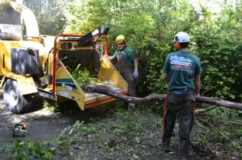 tree services West Branch